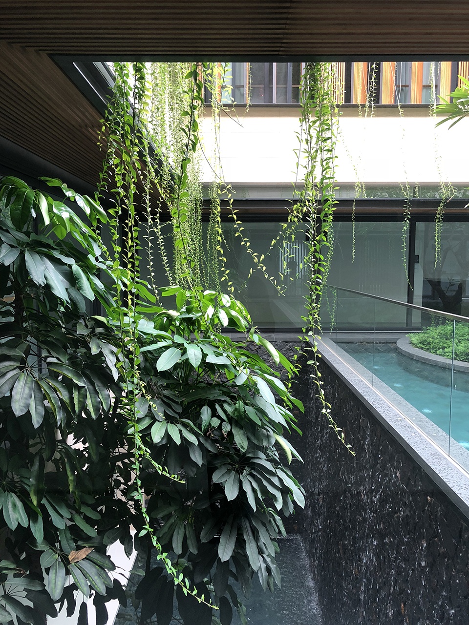 水花园住宅丨新加坡丨Wallflower Architecture + Design-41