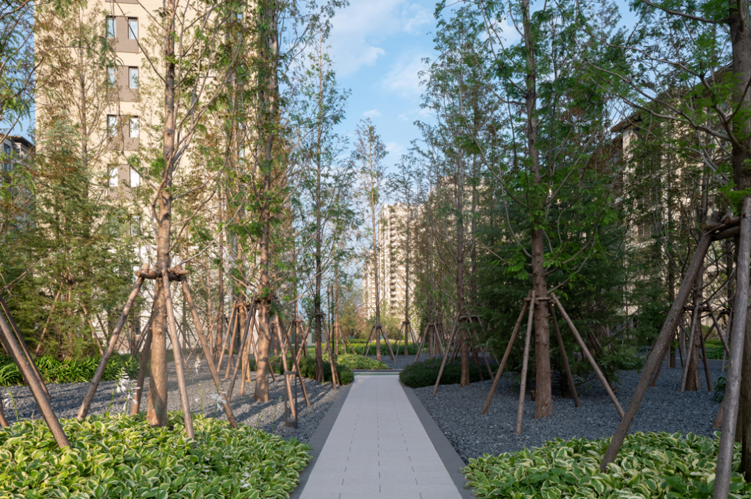 青岛融创·红岛湾丨中国青岛丨阿普贝思(北京)建筑景观设计咨询有限公司-34