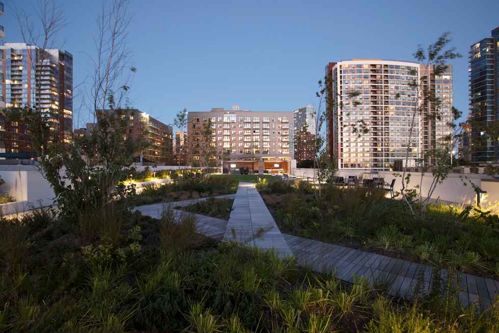 丨United StatesChicago丨Site Design Group-20