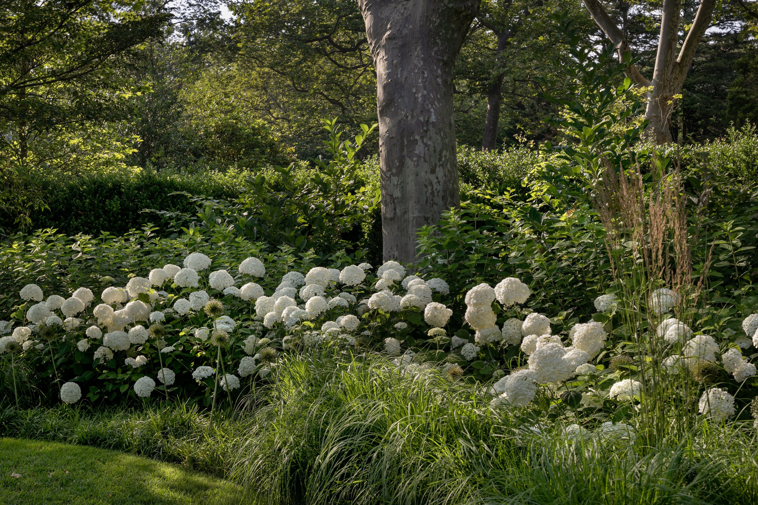 十字路住宅丨美国纽约-11