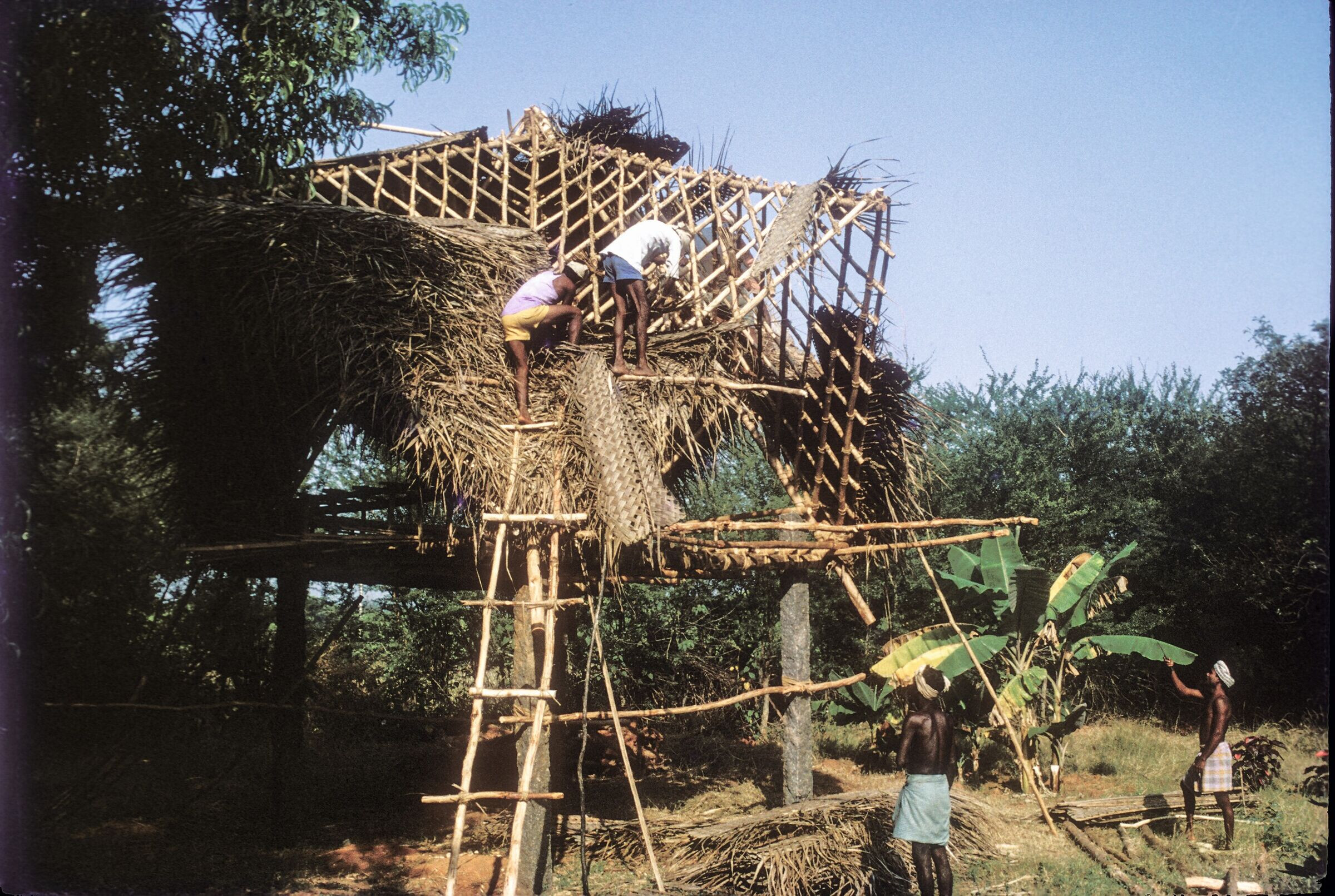 小屋小型农场-11