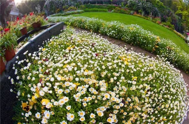 文艺大叔租下8亩林场，花16年种花养草，如今惊艳世人，连美国杂志都给他点赞-81