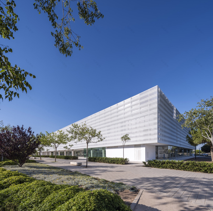 San Vicente del Raspeig 市政体育馆丨西班牙-95