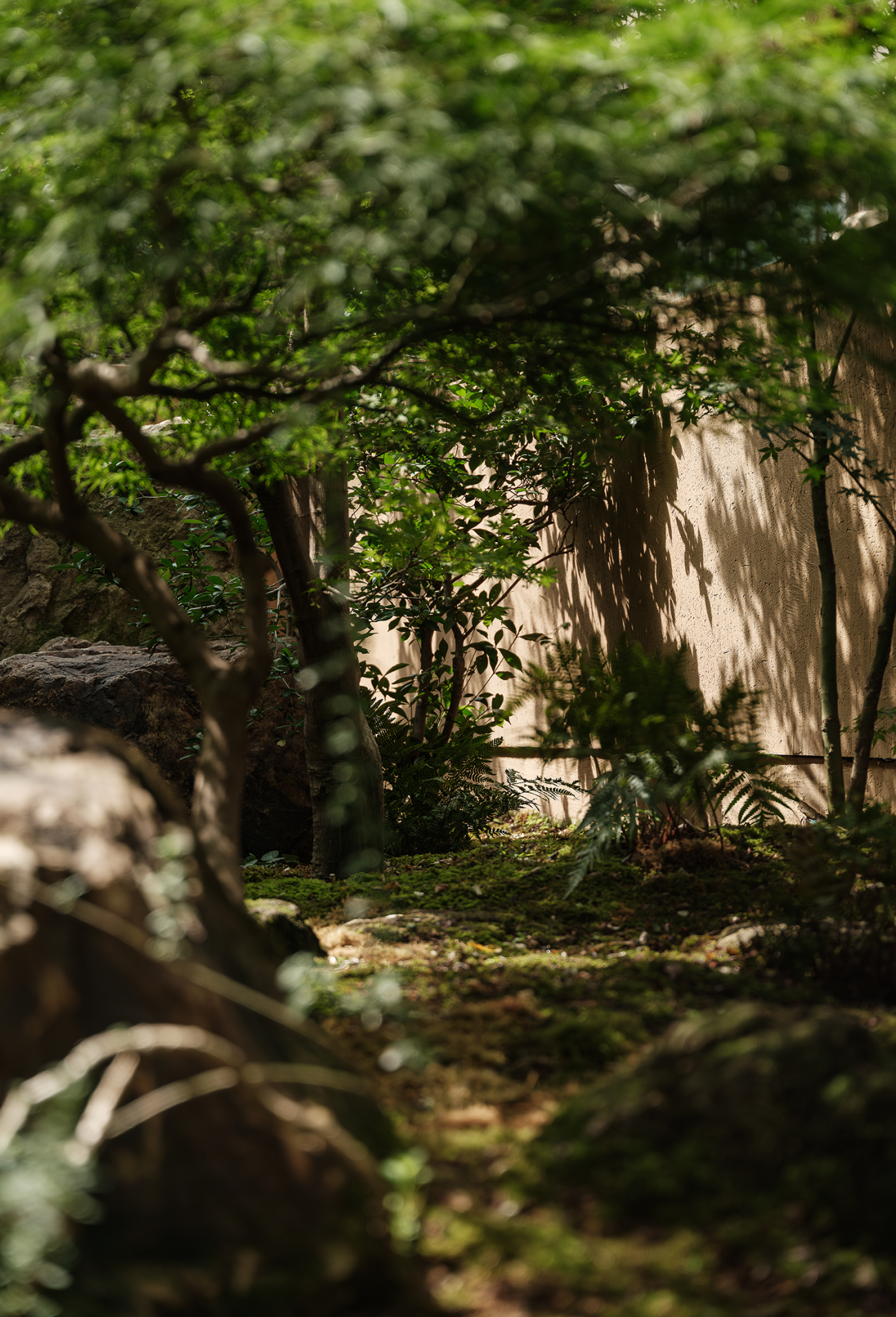 香颂漫语丨中国宁波丨TLXD童凌霄设计-66