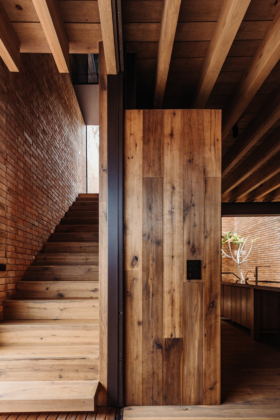 墨西哥 La Peña 湖畔住宅丨Central de Arquitectura-101