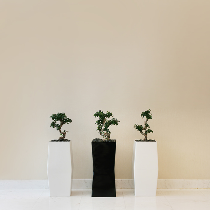 A classical look for a hotel interior -2