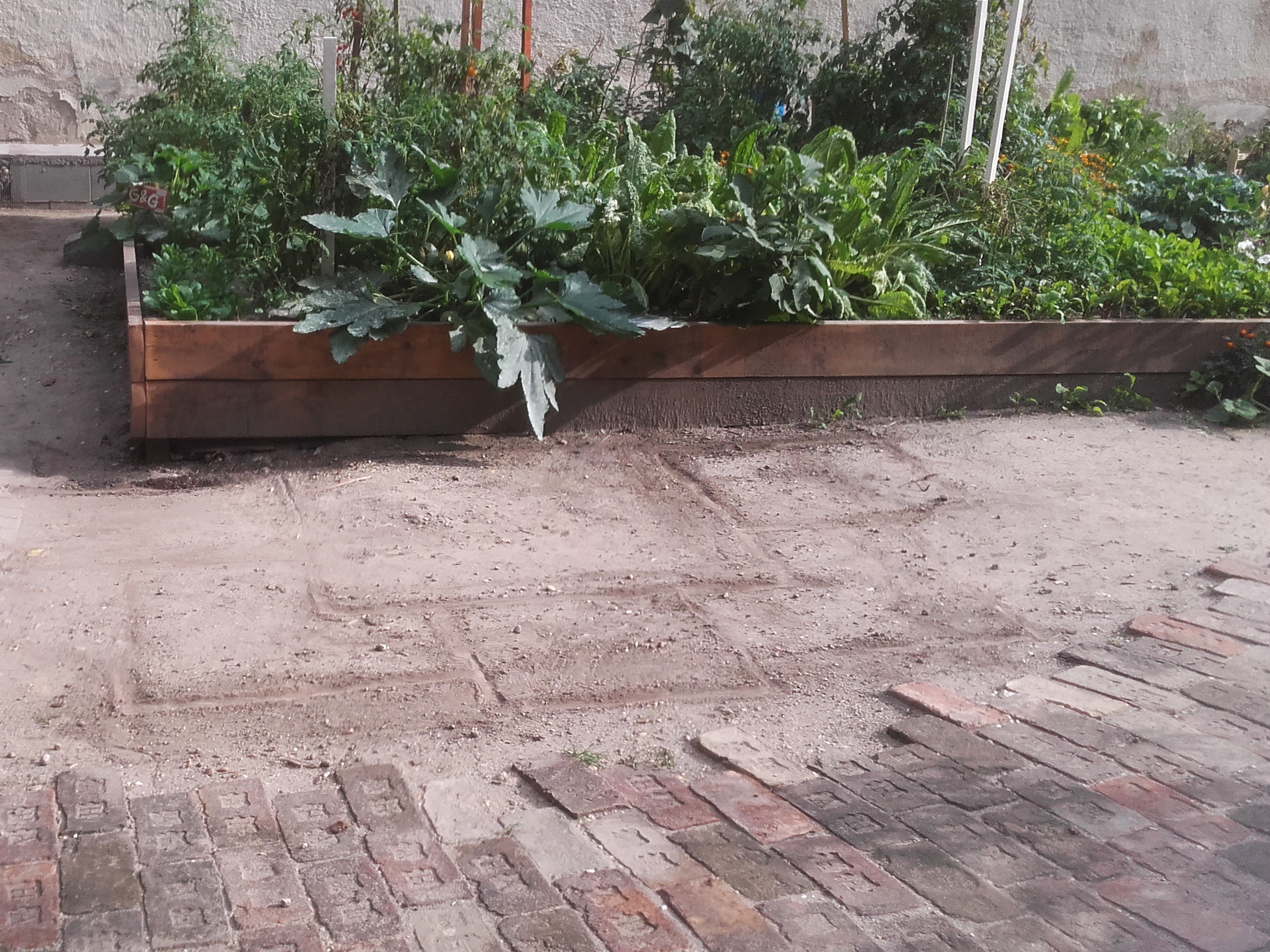 Kisdiófa Közösségi Kert特色水池（或泳池）项目丨匈牙利布达佩斯-25