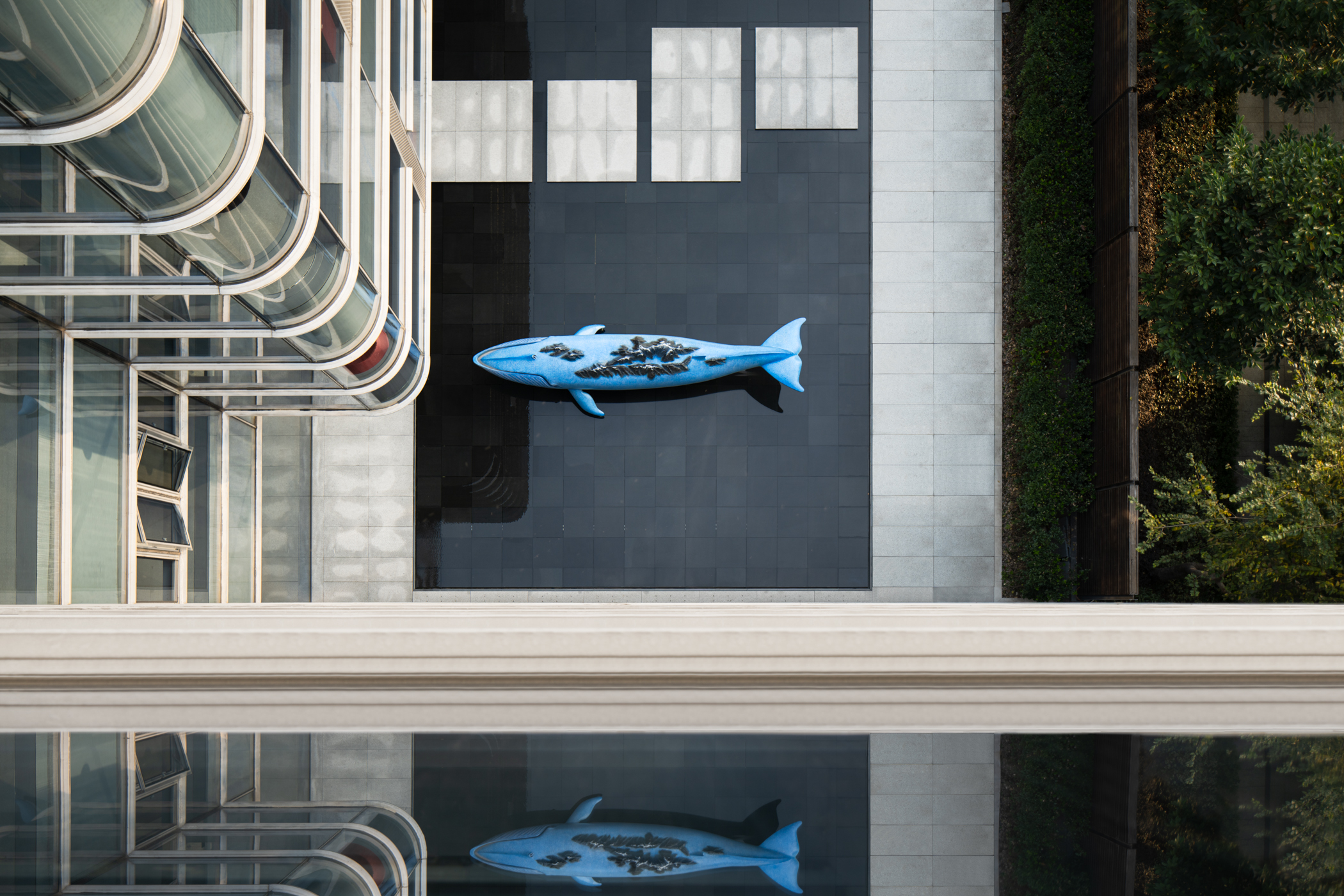 齐治科技办公室丨中国杭州丨上海 Hippop 设计团队-40