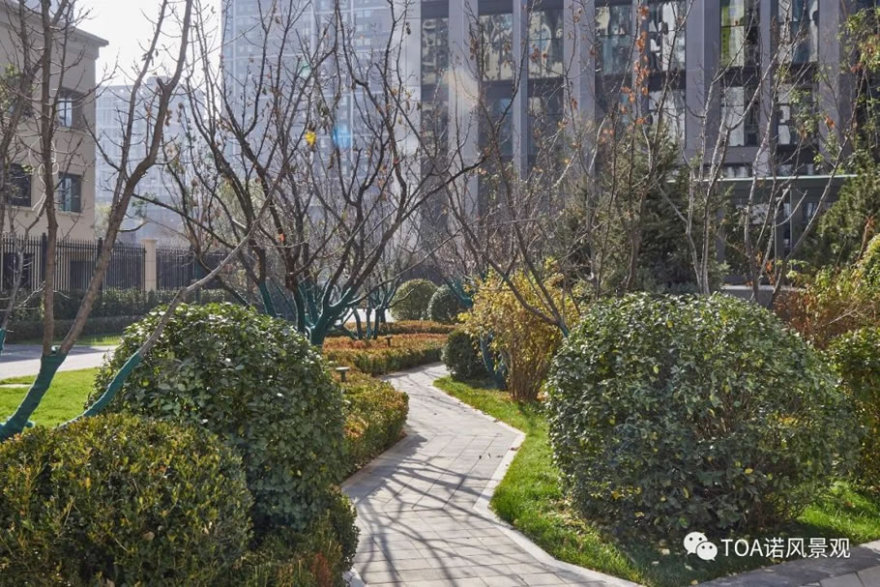 太原万科公园大道丨中国太原丨TOA 诺风景观设计咨询有限公司-35