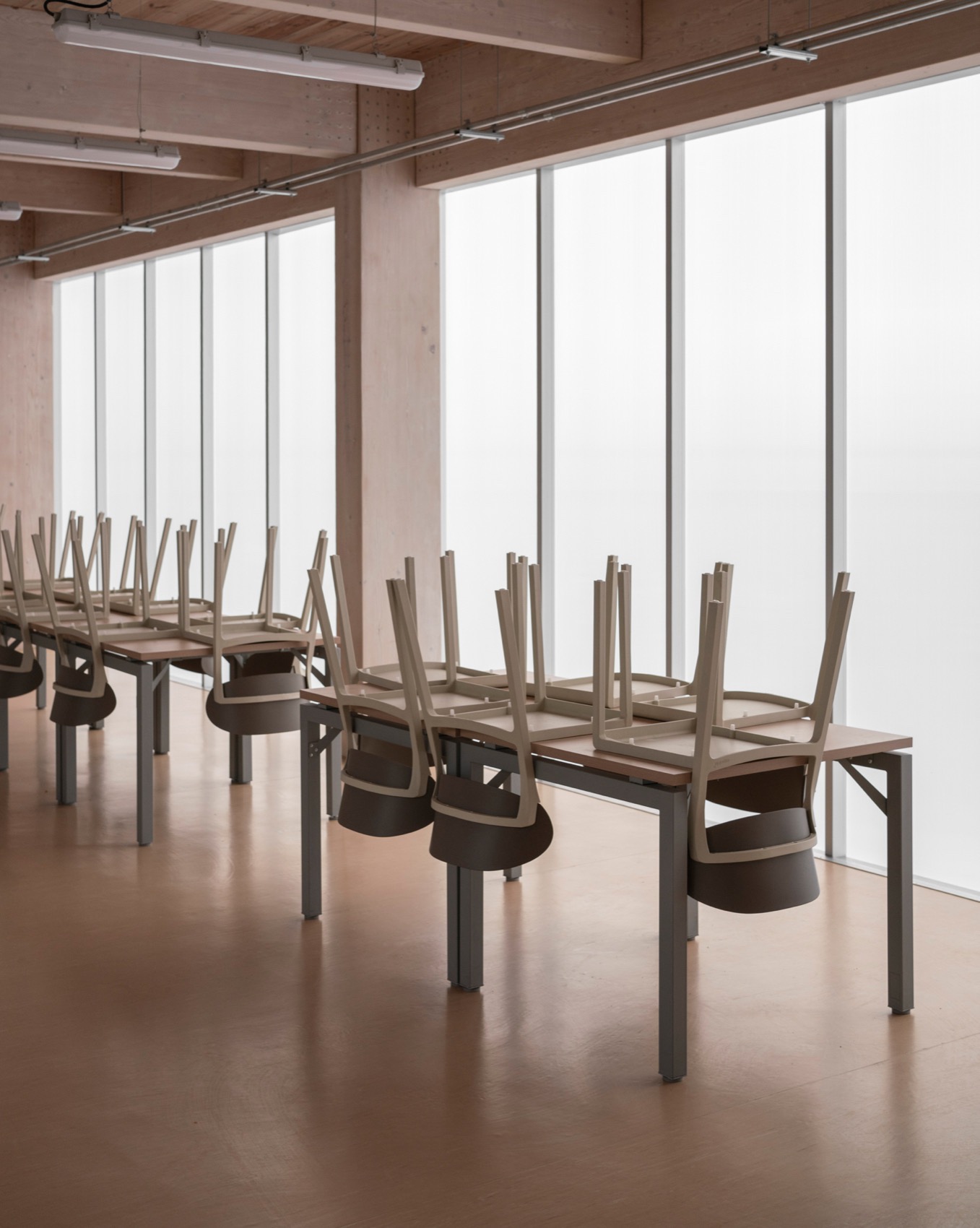 Lyncott办公室,墨西哥丨墨西哥克雷塔罗丨PPAA-25