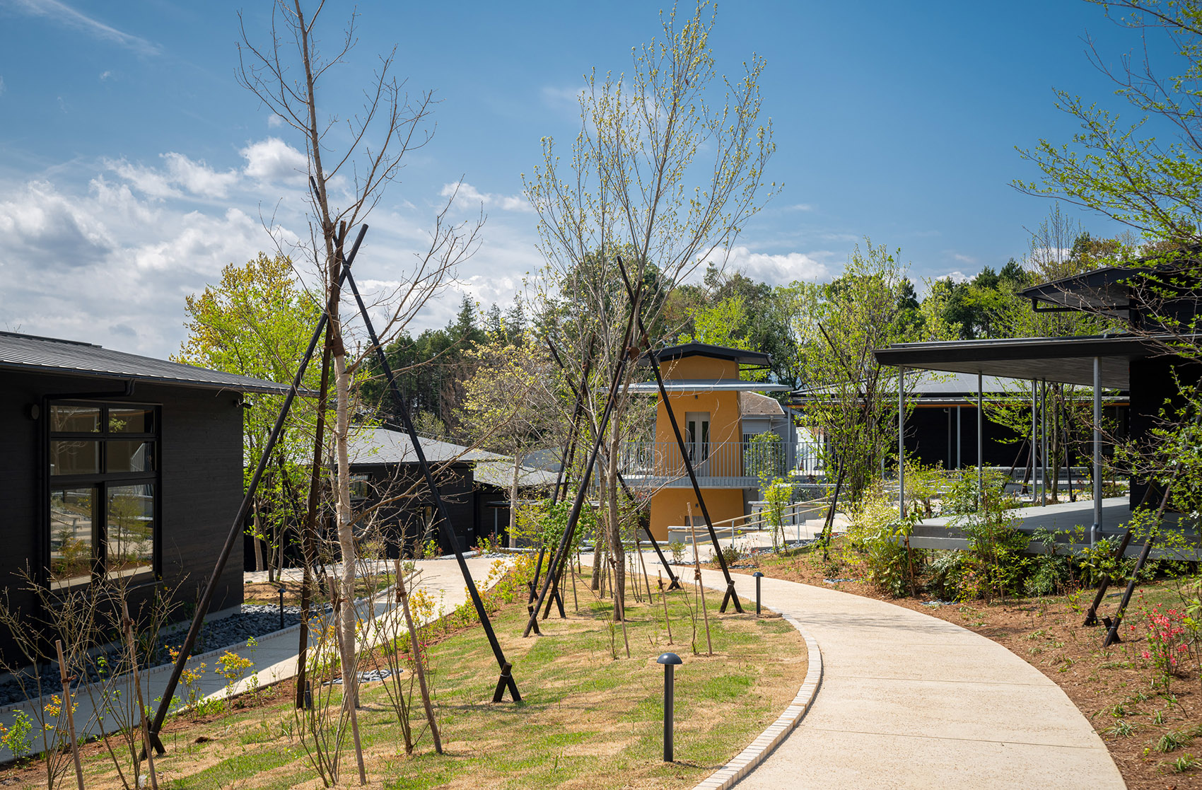 町田药师池公园“四季彩之森”游客中心丨日本-19