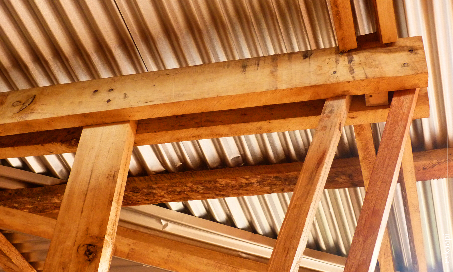 Framed Escape Library  eskaapi-45