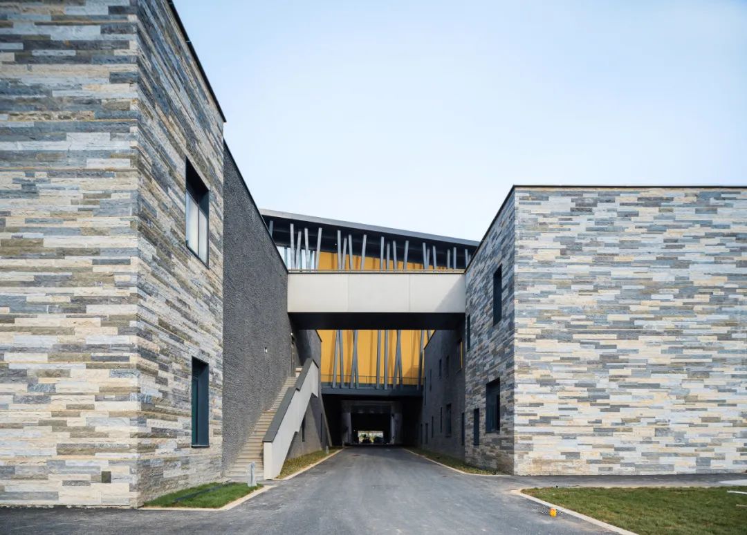 中国古动物馆(保定自然博物馆)丨中国保定丨王澍-33