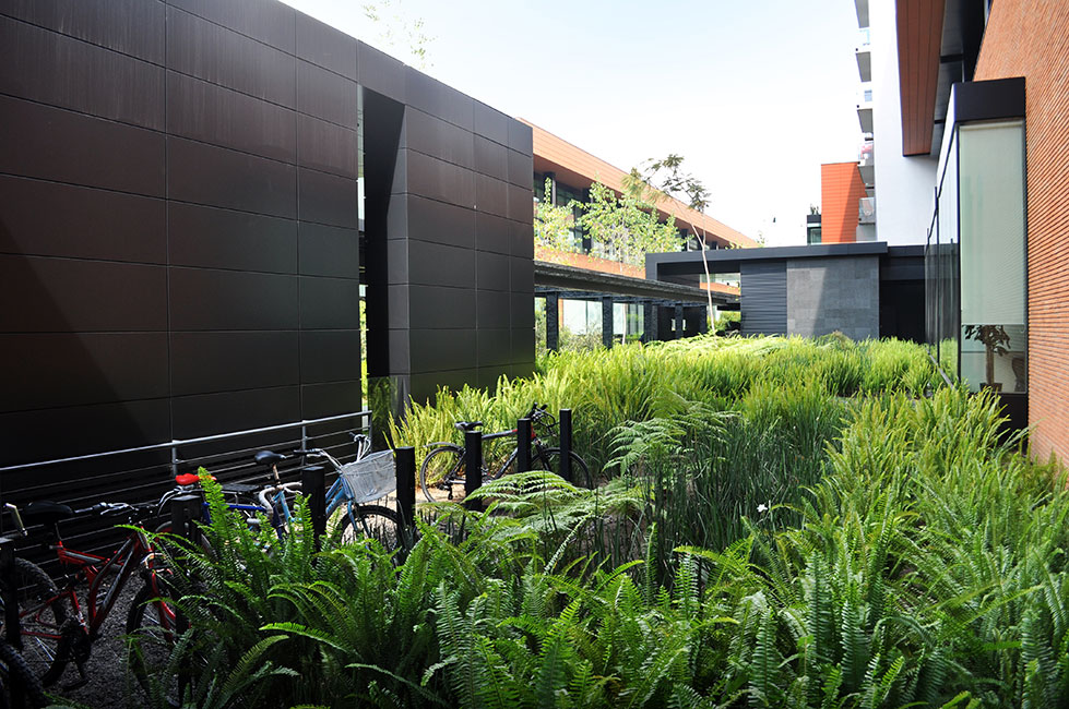 墨西哥城 Coyoacán 企业园区景观设计-46