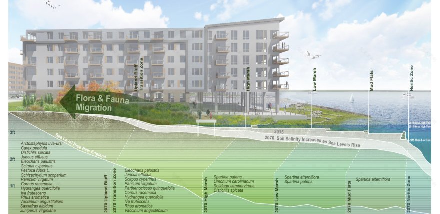 快船码头丨美国-54