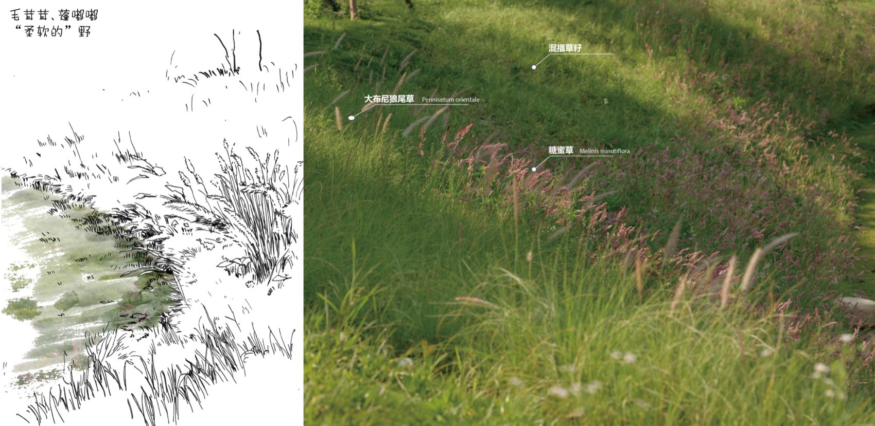 成都趣野公园（屋头公园）丨中国成都丨大小景观-195