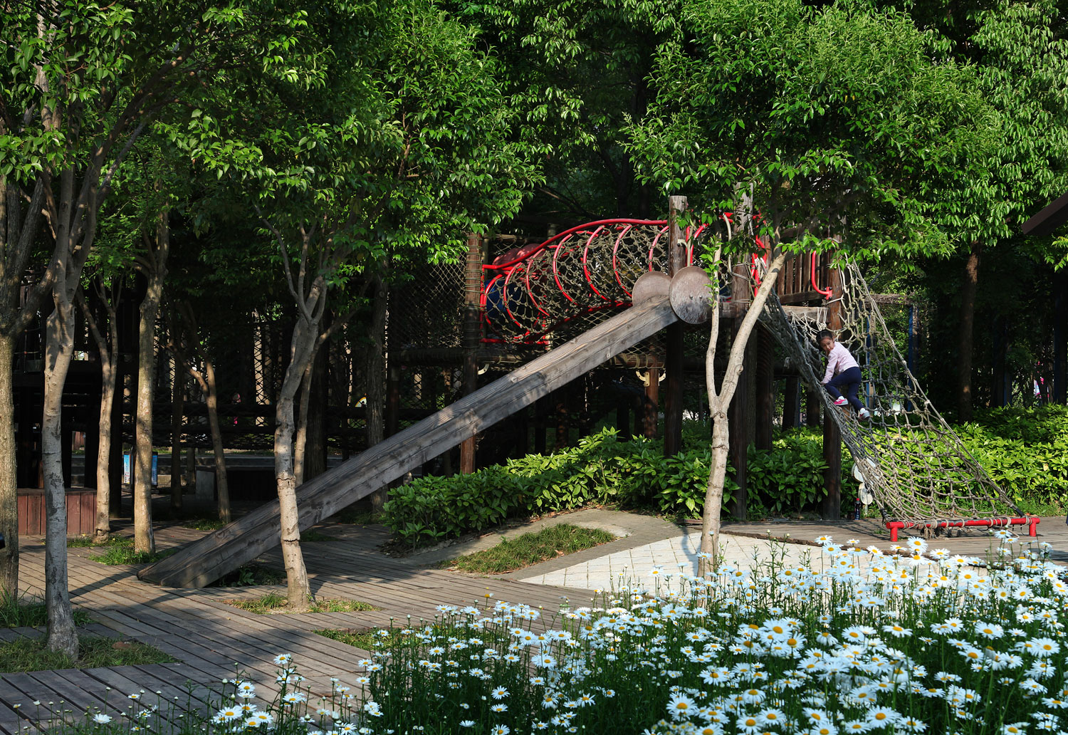 嘉定石冈门塘湿地公园-34