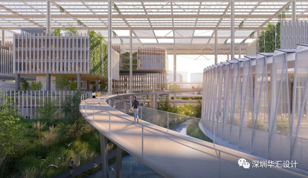 天津大学佐治亚理工深圳学院校区丨中国深圳-103