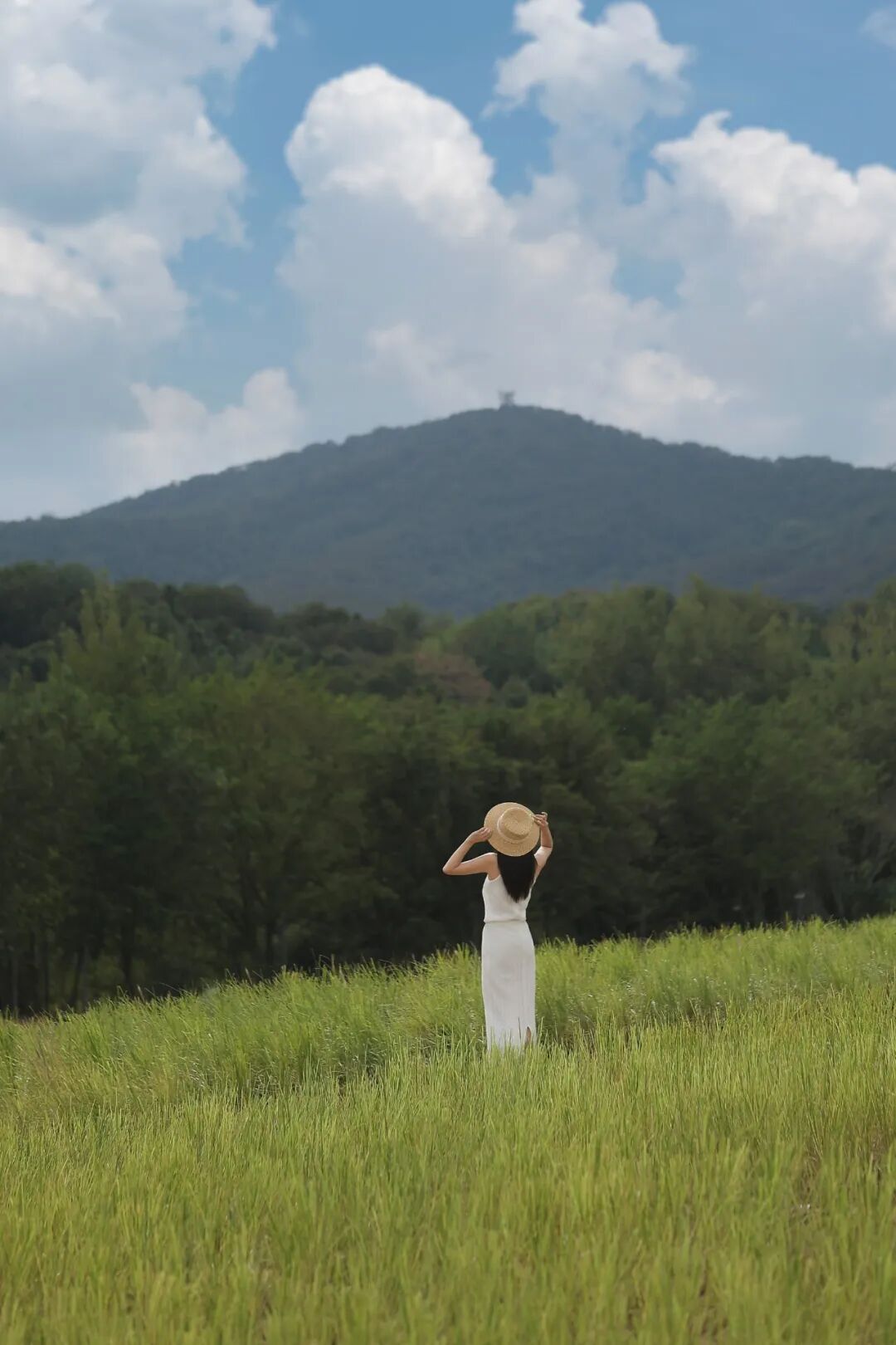 四方音乐岛开放预约!大江北岸新地标,限时免票登岛-11