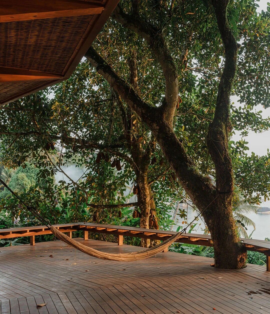 Praia da Figueira设计｜循日之迹,栖木而生住宅丨巴西里约热内卢丨Estúdio Lava-13