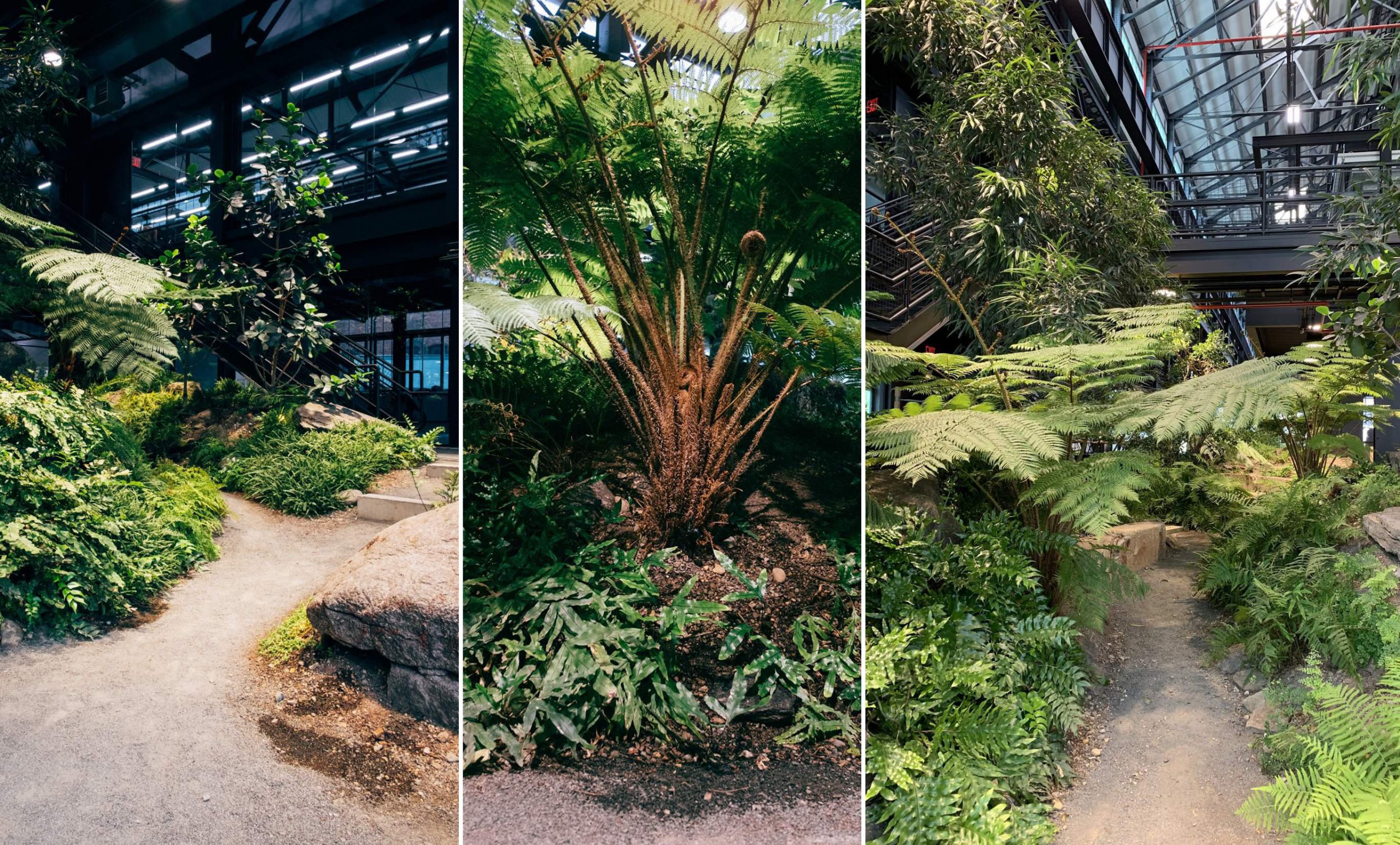 “最硬核”的办公空间改造，废弃海军造船厂中长出了一座封闭森林！-36