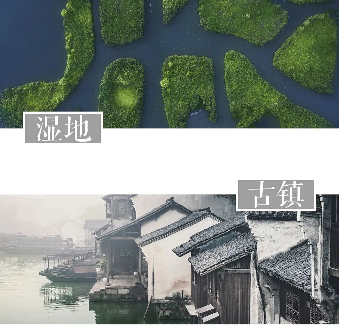 繁花水巷里的诗意栖居——奥山弘阳·题红樾里-11