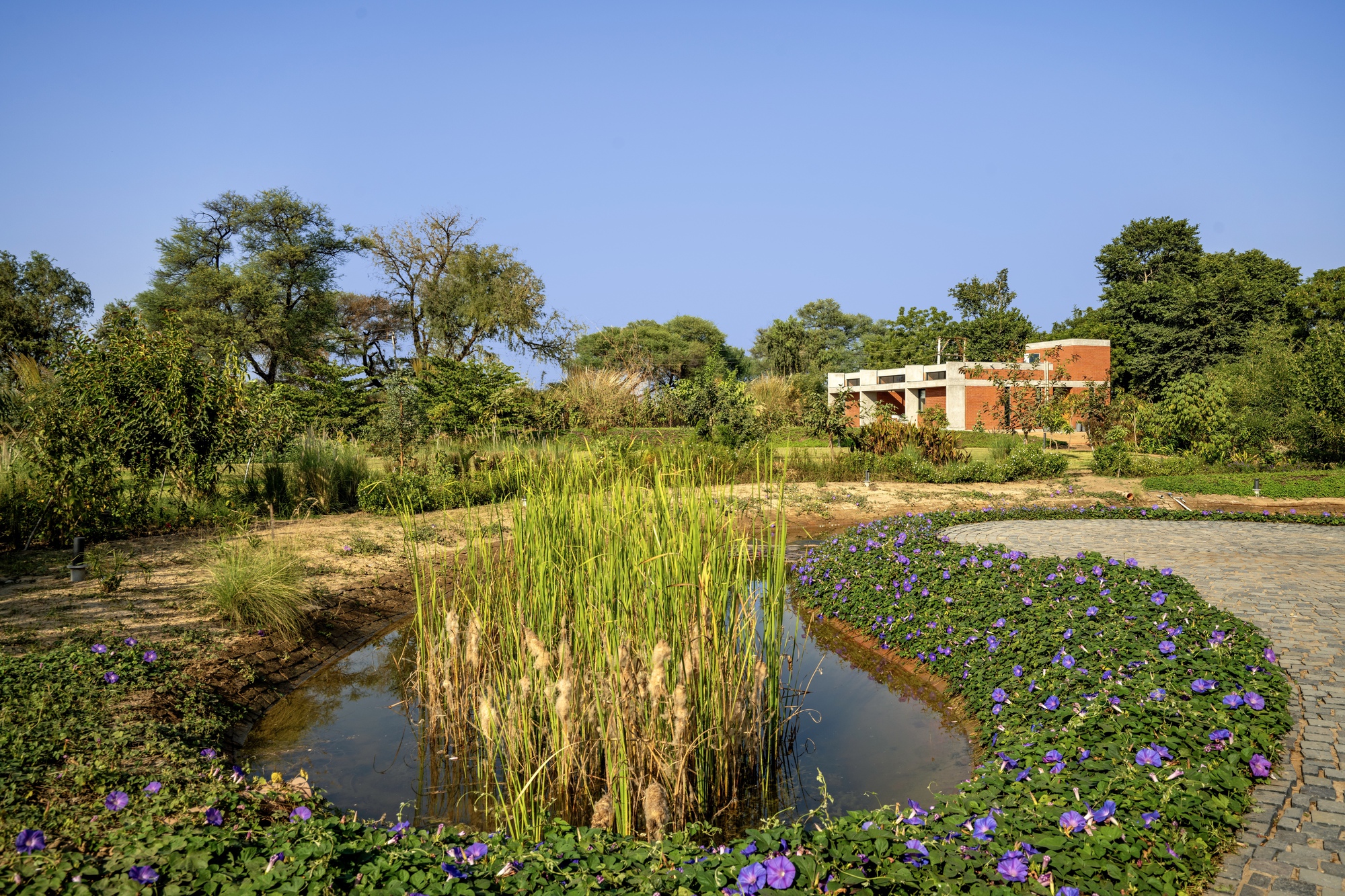 酷棚丨印度丨Vaissnavi Shukl-21