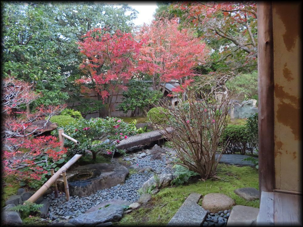 东寺观智院茶室「楓泉観」的露地丨日本京都丨未明确,可能为山田造园（仅为猜测）-27