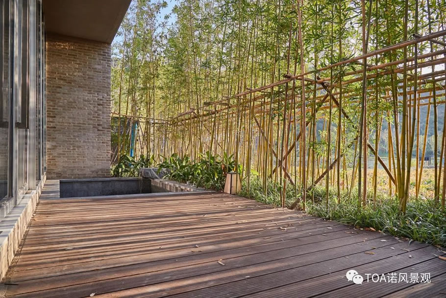 南京园博园 VOCO 酒店丨中国南京丨TOA 诺风景观设计咨询（上海）有限公司-46