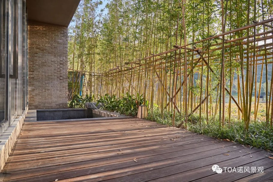 南京园博园 VOCO 酒店丨中国南京丨TOA 诺风景观设计咨询(上海)有限公司-46