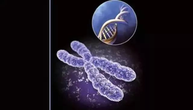 《Science》公布的 125 个最具挑战性的科学问题,你感兴趣的是哪个?-10