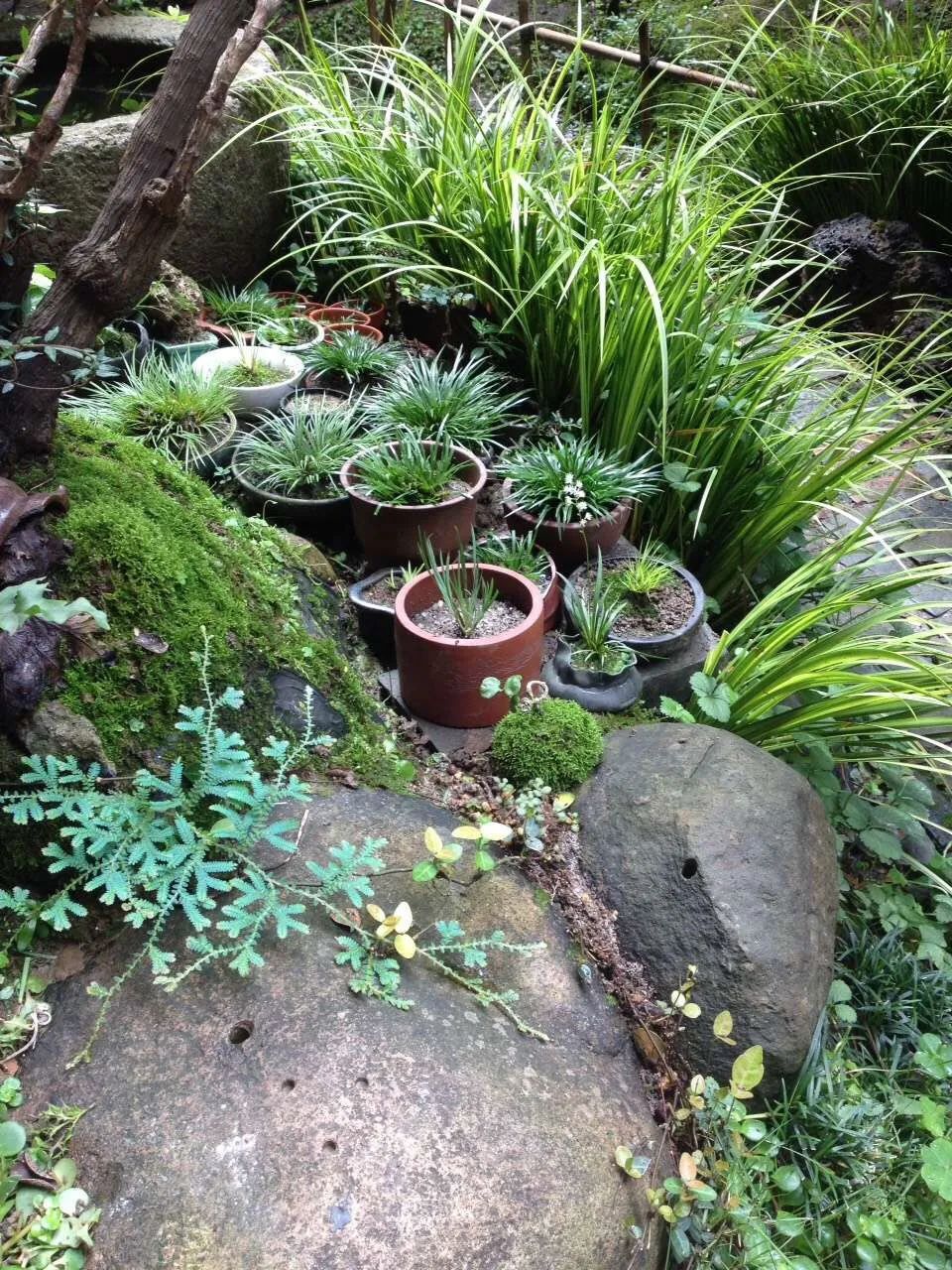 院落生活 | 诗与远方的完美结合-34