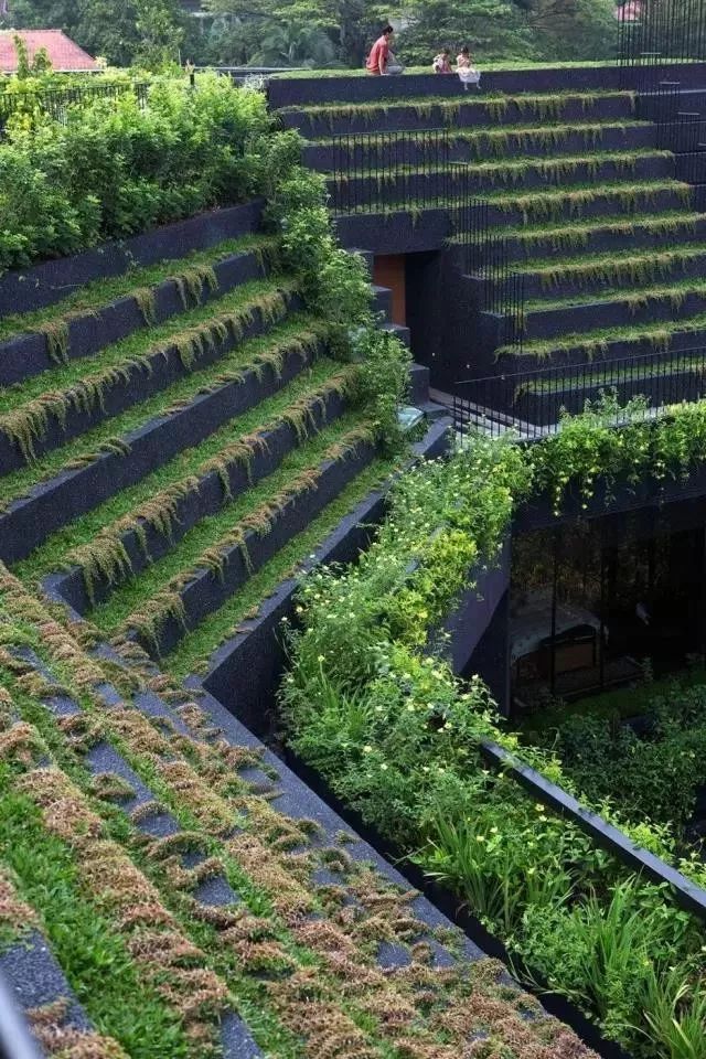 为了孩子，他们专门在城市上方建了一所会呼吸的房子！-23