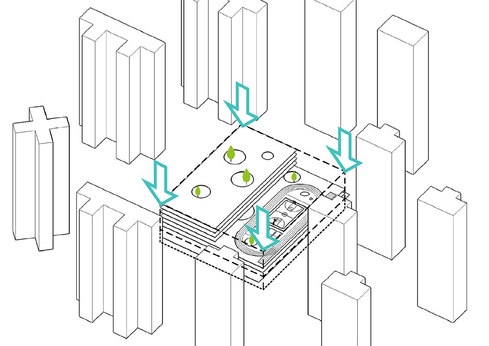 红岭实验小学-24