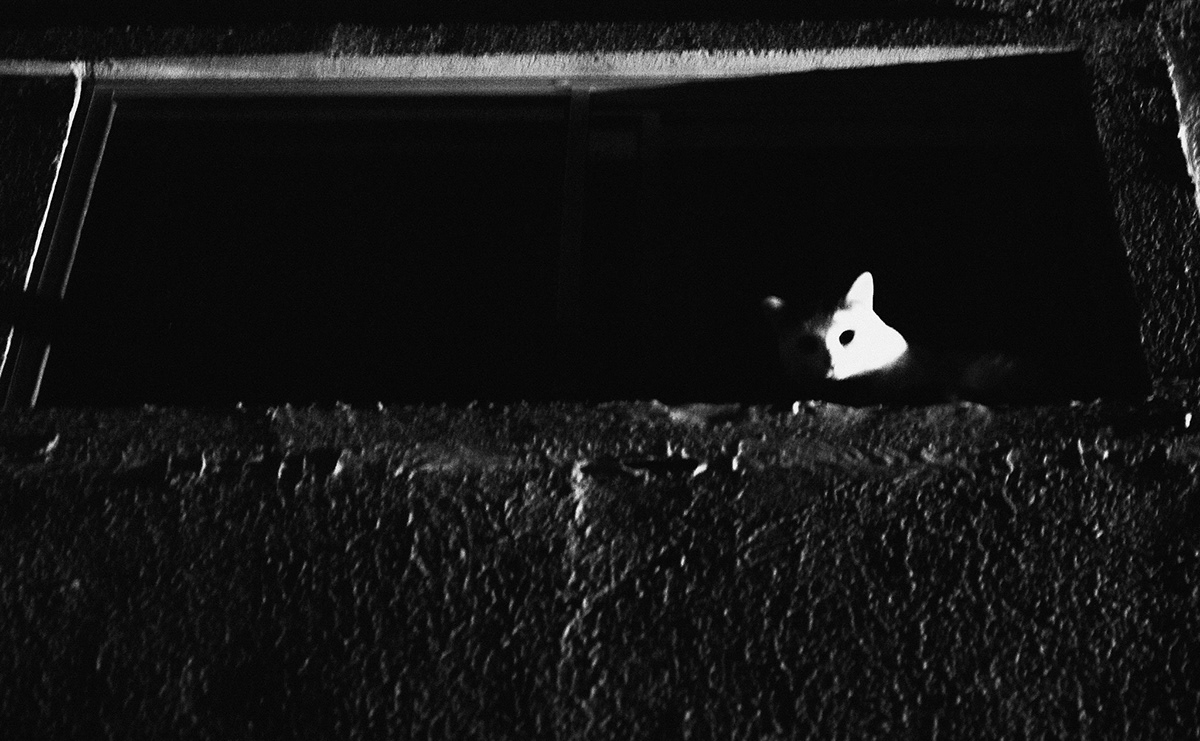 巴西利亚黑白街道涂鸦设计丨巴西巴西利亚-8