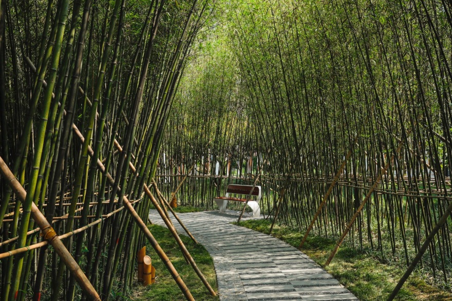 望京阜园景观改造提升设计丨中国北京丨埊木设计(CAFA·A城市艺术创新中心)-8