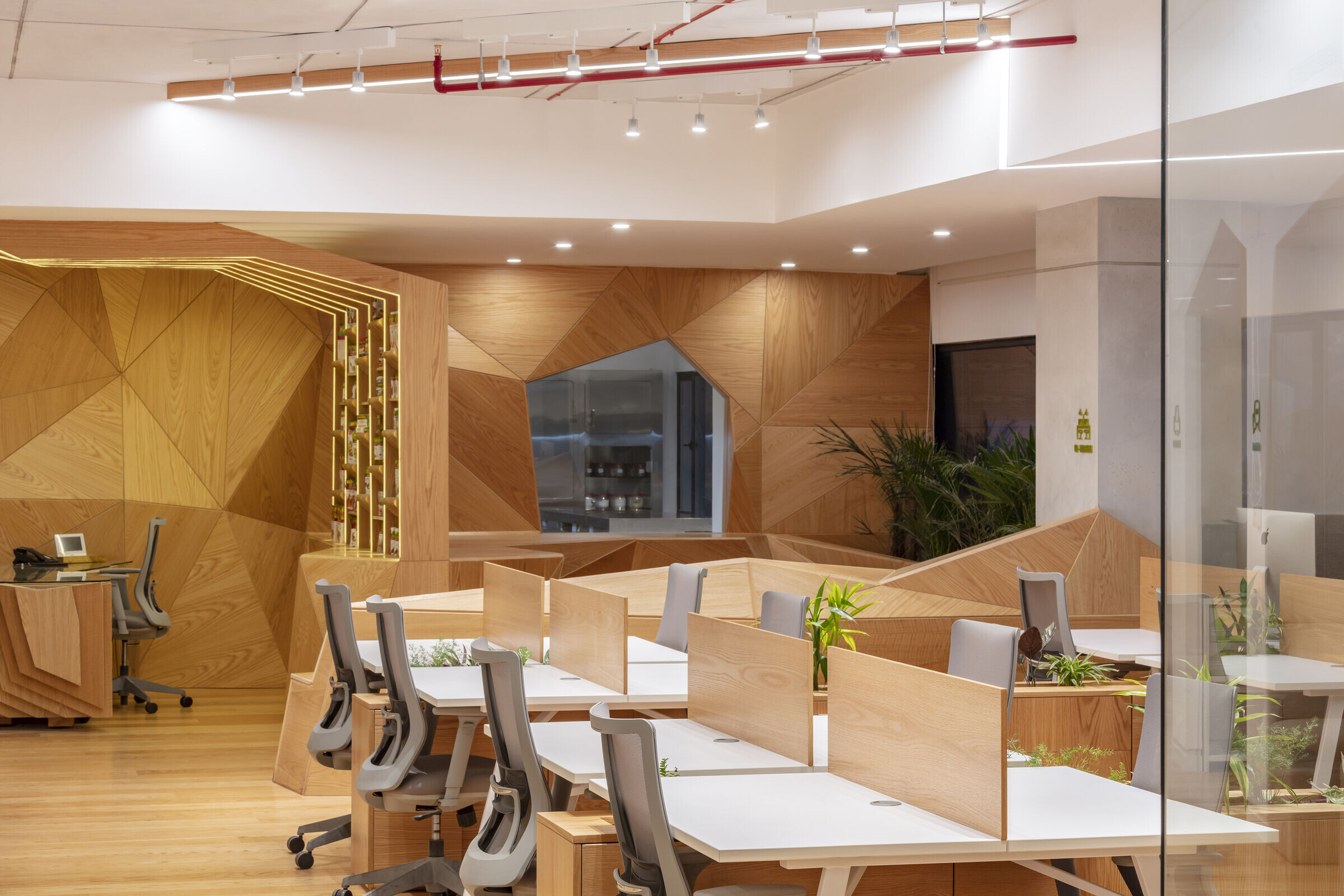 Terrafertil 办公空间设计丨厄瓜多尔丨Leppanen + Anker architects-21