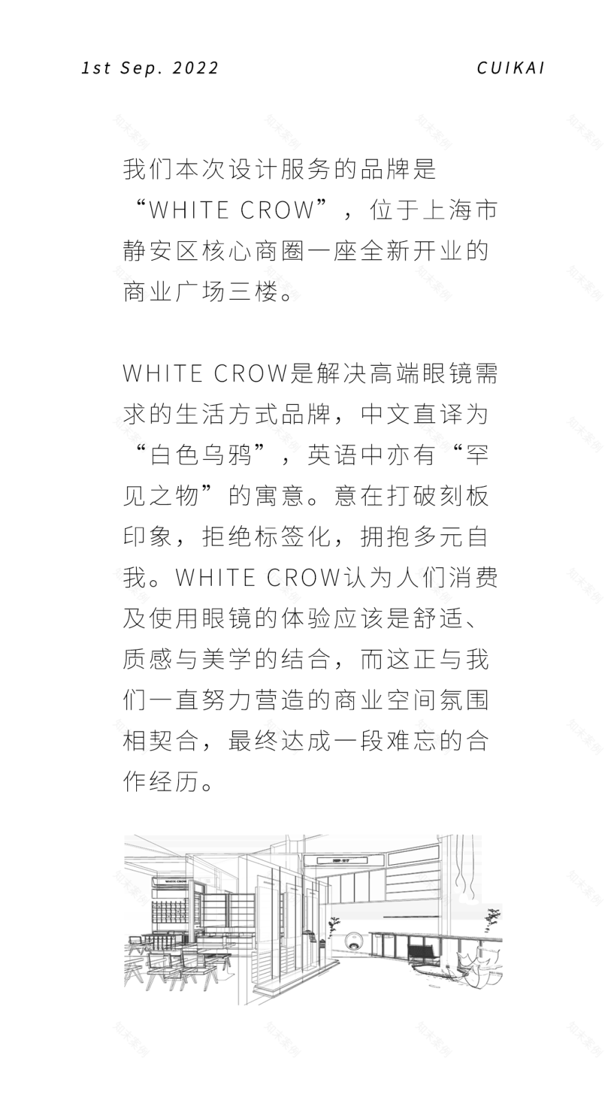 栖刻·新作 | WHITECROW 白鸦眼镜-2