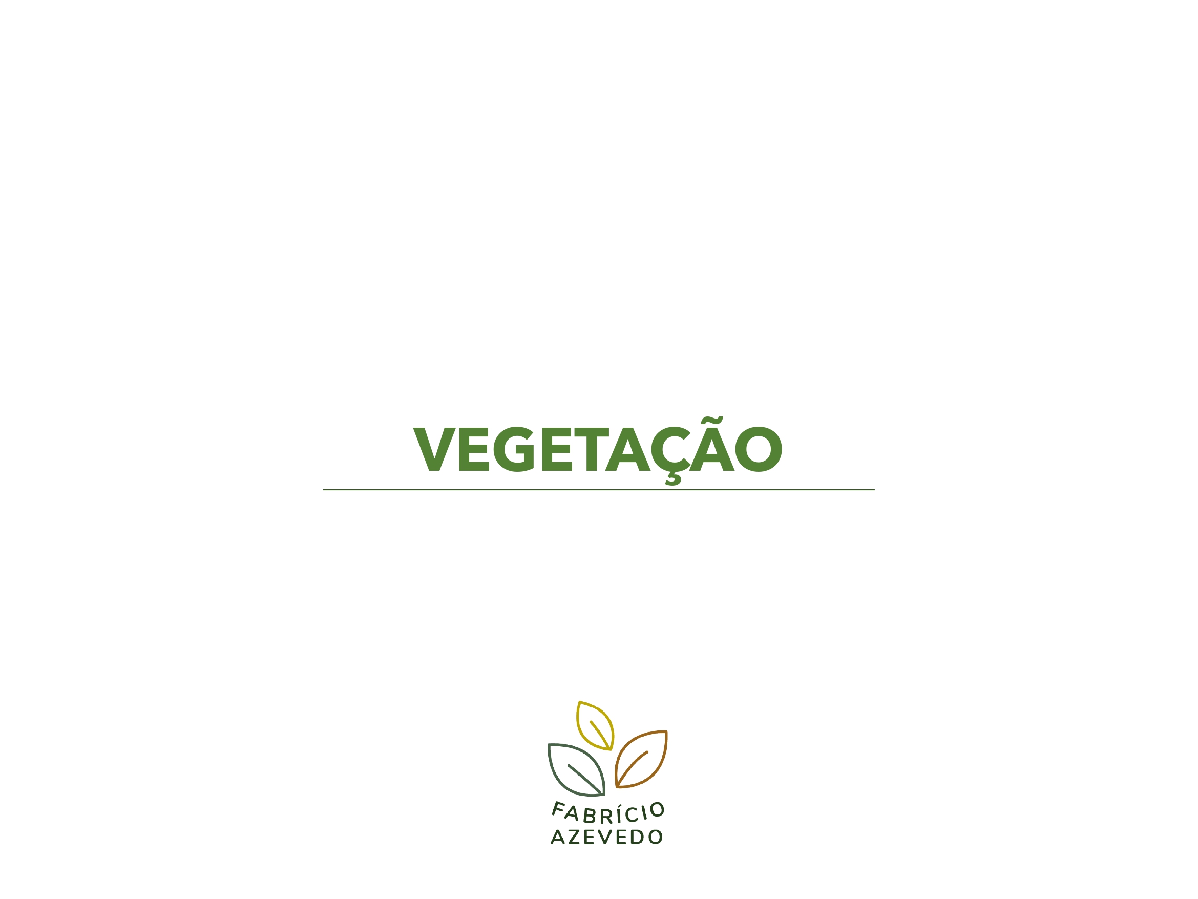 Proposta de Vegetação para Jardineiras - Projeto Thiago-1