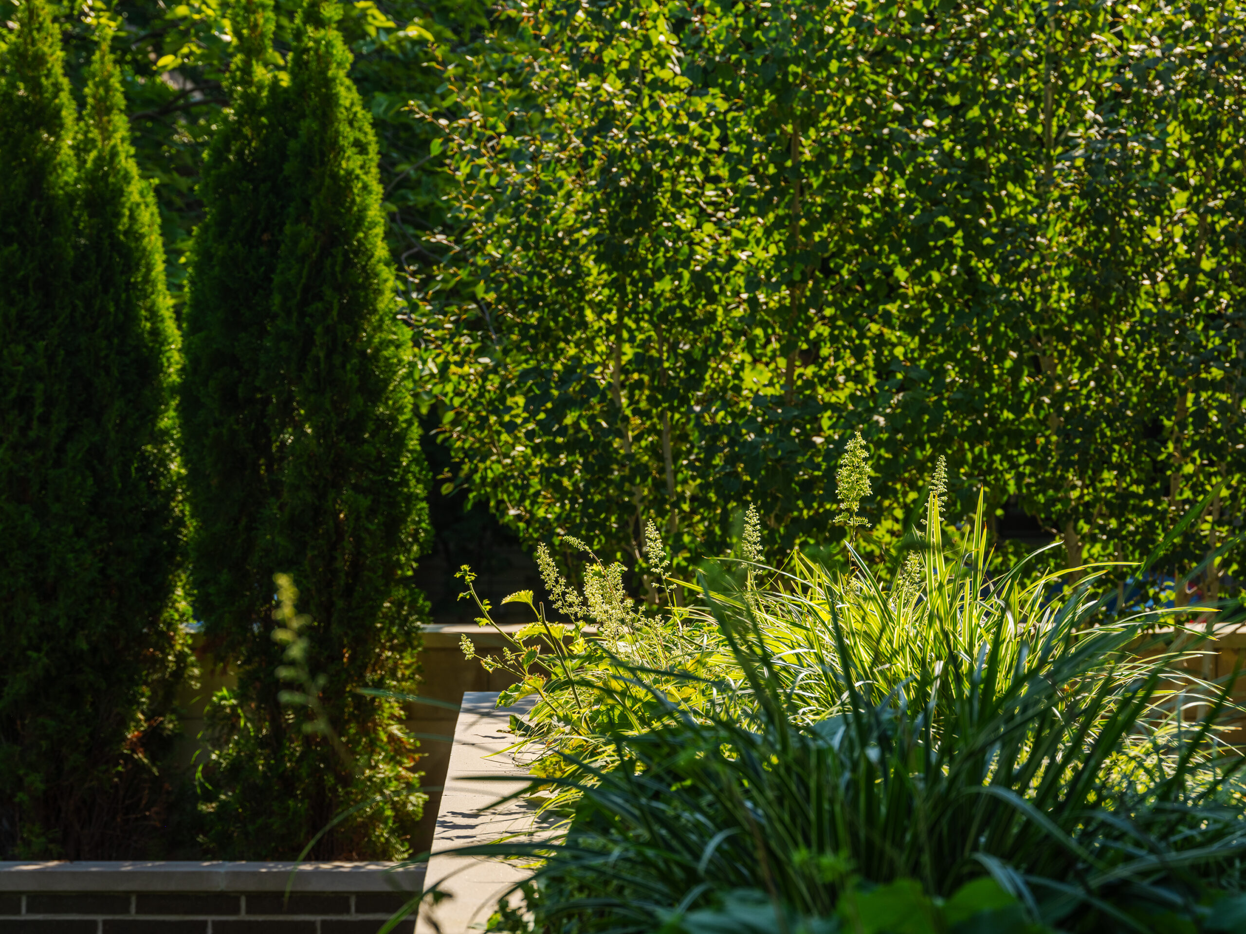 丨美国芝加哥-26