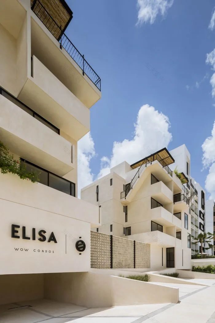 Elisa Wow 公寓丨墨西哥丨Live Desarrollos-26