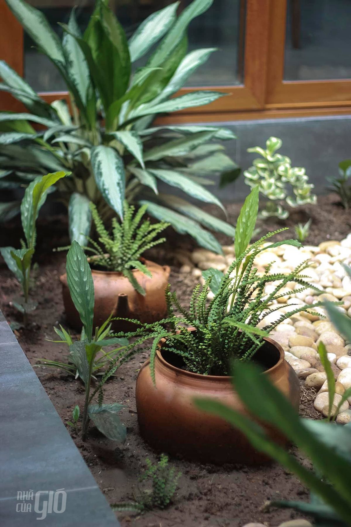 母亲之家（Nhà của Mẹ）-30