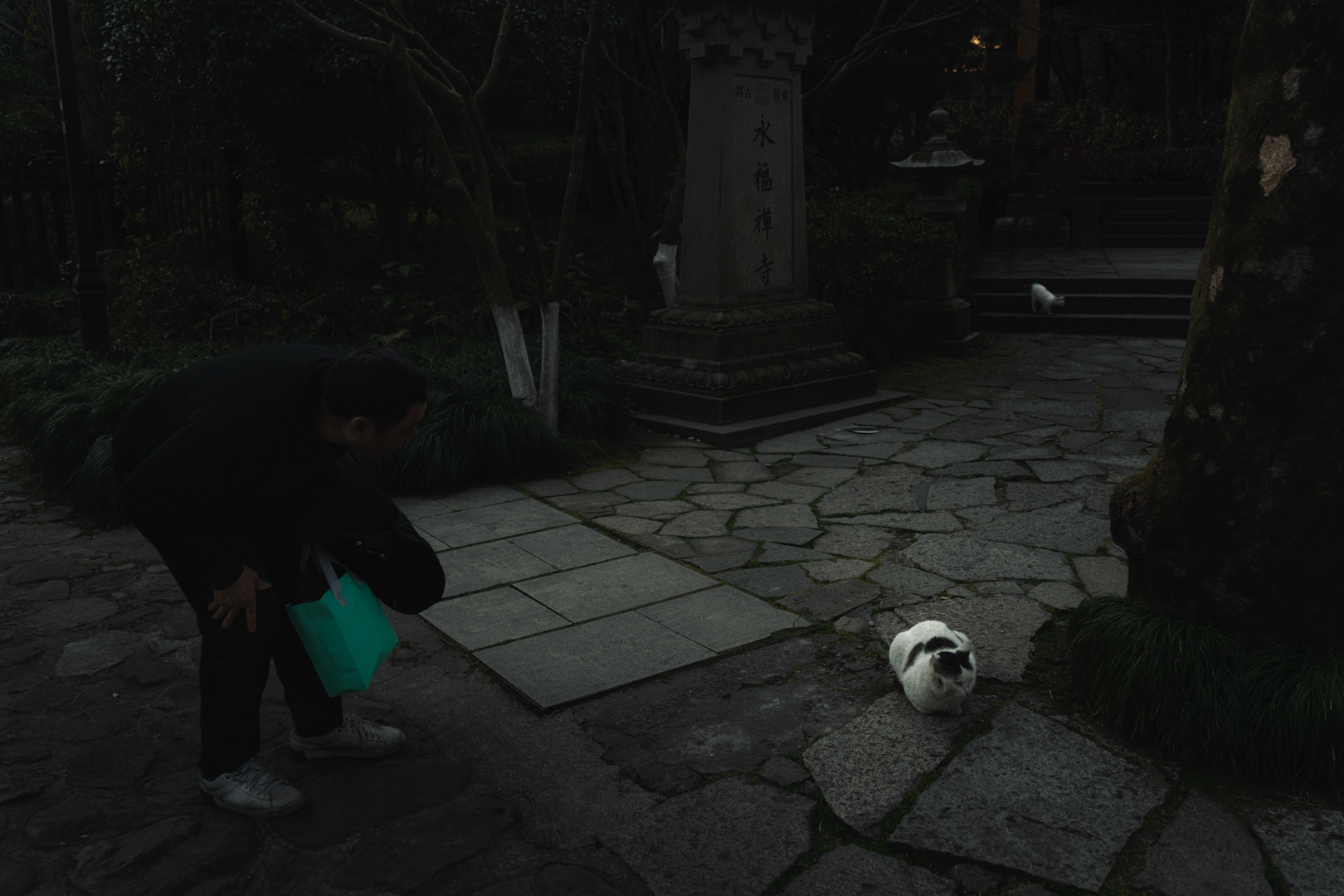 灵隐寺和永福寺丨中国杭州-24