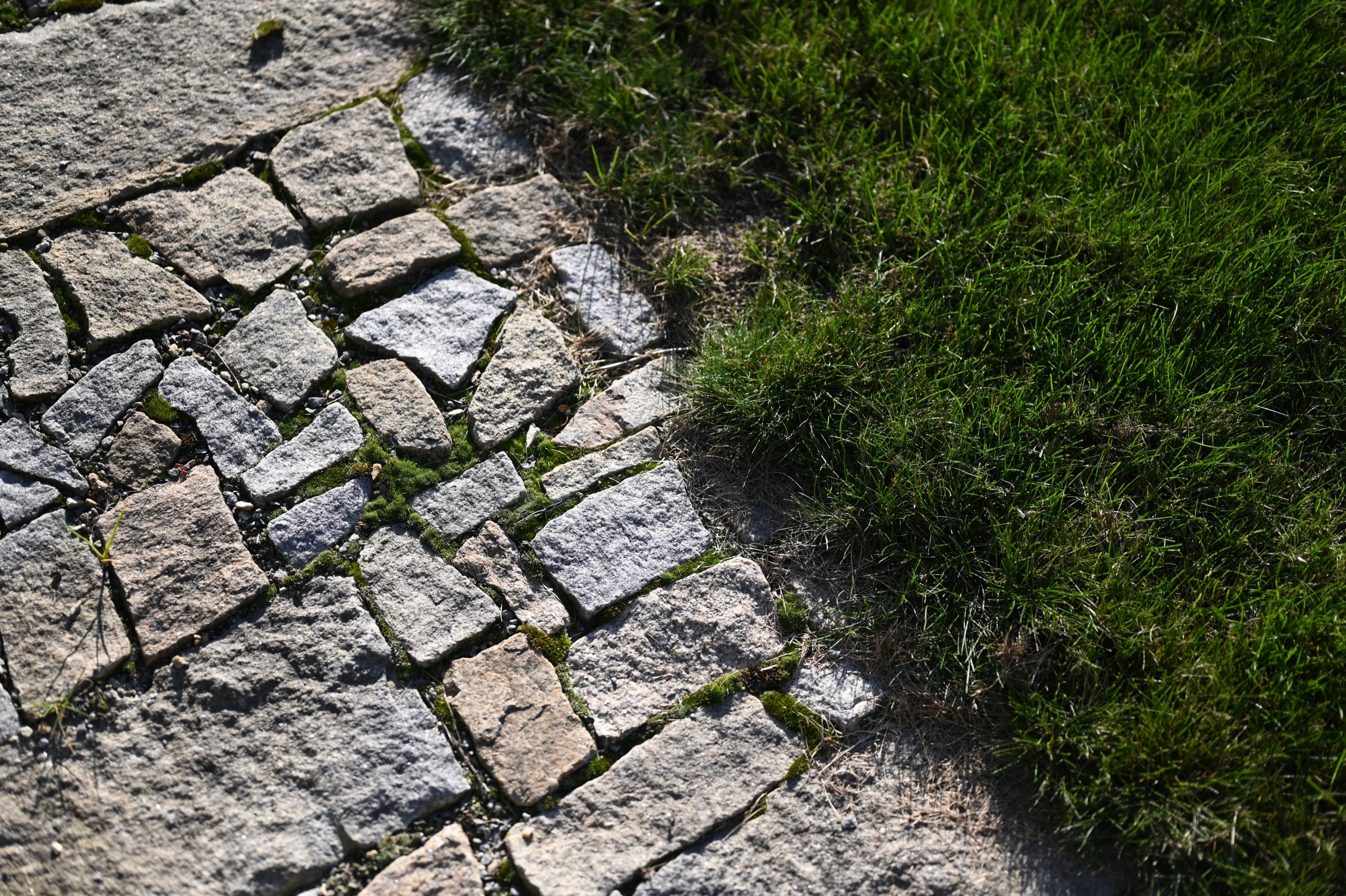 以花园为画布，私家花园设计丨捷克丨Atelier Parter-20