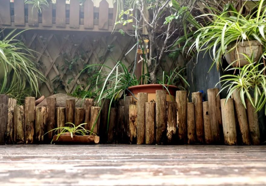 独居匠心,她把仅有10多㎡的小露台打造成成上海十佳“美丽阳台”之一!-18