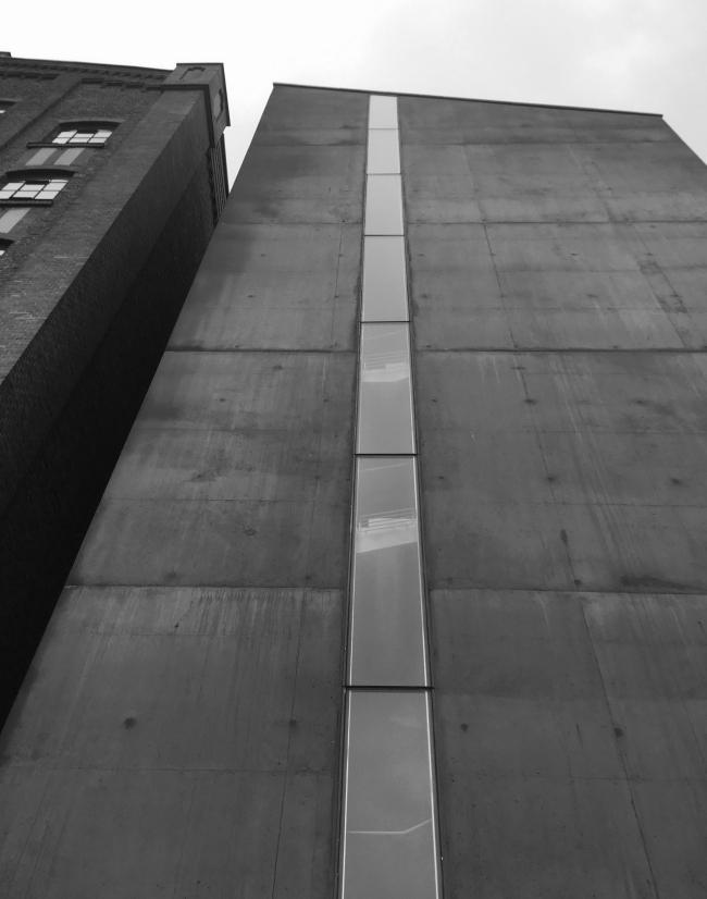 “老虎与乌龟”丨德国丨德国艺术家乌尔里希·根茨和海克·穆特-41