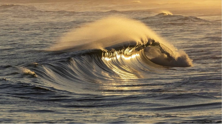 荣耀深圳湾全球旗舰店丨中国深圳丨万社设计-19