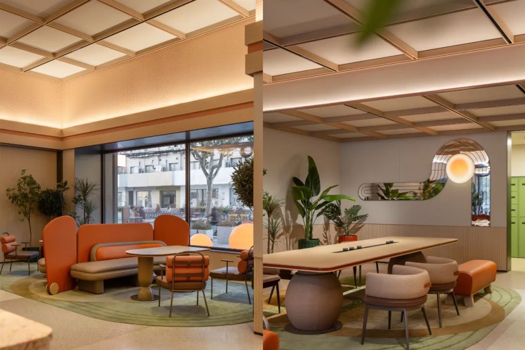 这只桔子，“嗲”！-22