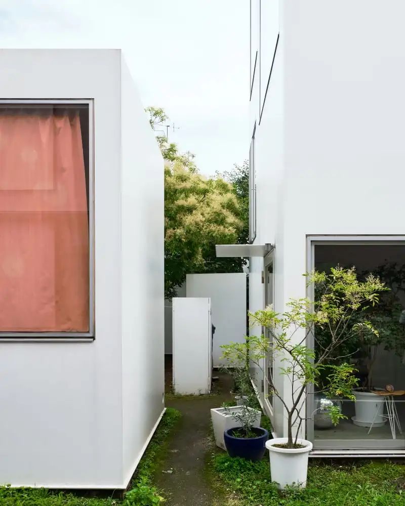 森山邸丨日本东京丨西泽立卫建筑设计事务所-7