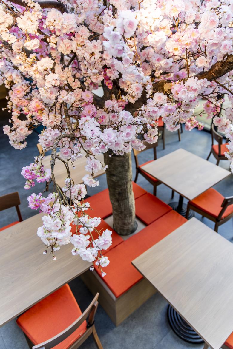 Akeno 餐厅室内设计丨德国-0